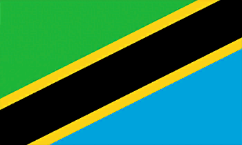 Tanzania Dream League Soccer