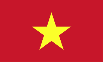 Vietnam Dream League Soccer