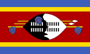Eswatini Dream League Soccer
