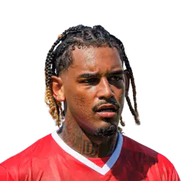 MT Dream League Soccer