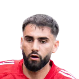 Romain Del Castillo Dream League Soccer
