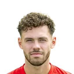 Mitchell van Bergen Dream League Soccer
