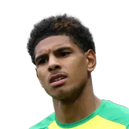 Dehmaine Tabibou Dream League Soccer