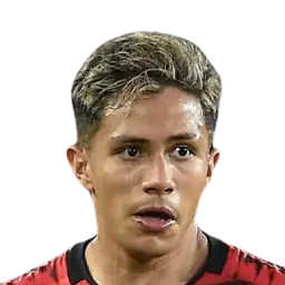 Wikelman Carmona Dream League Soccer