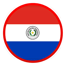 Paraguay Logo Dream League Soccer 2026 | DLS Inside